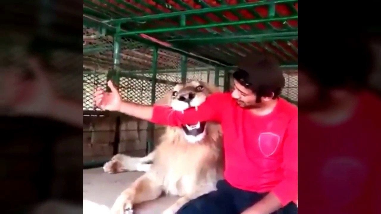 DUBAI PRINCE WITH HIS PETS AND LUXURY CARS