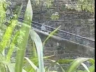 Kizer - The Outsider - Albert Hooi