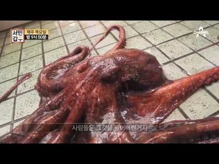 [선공개] 미끼를 던져 사람들을 사로잡다!