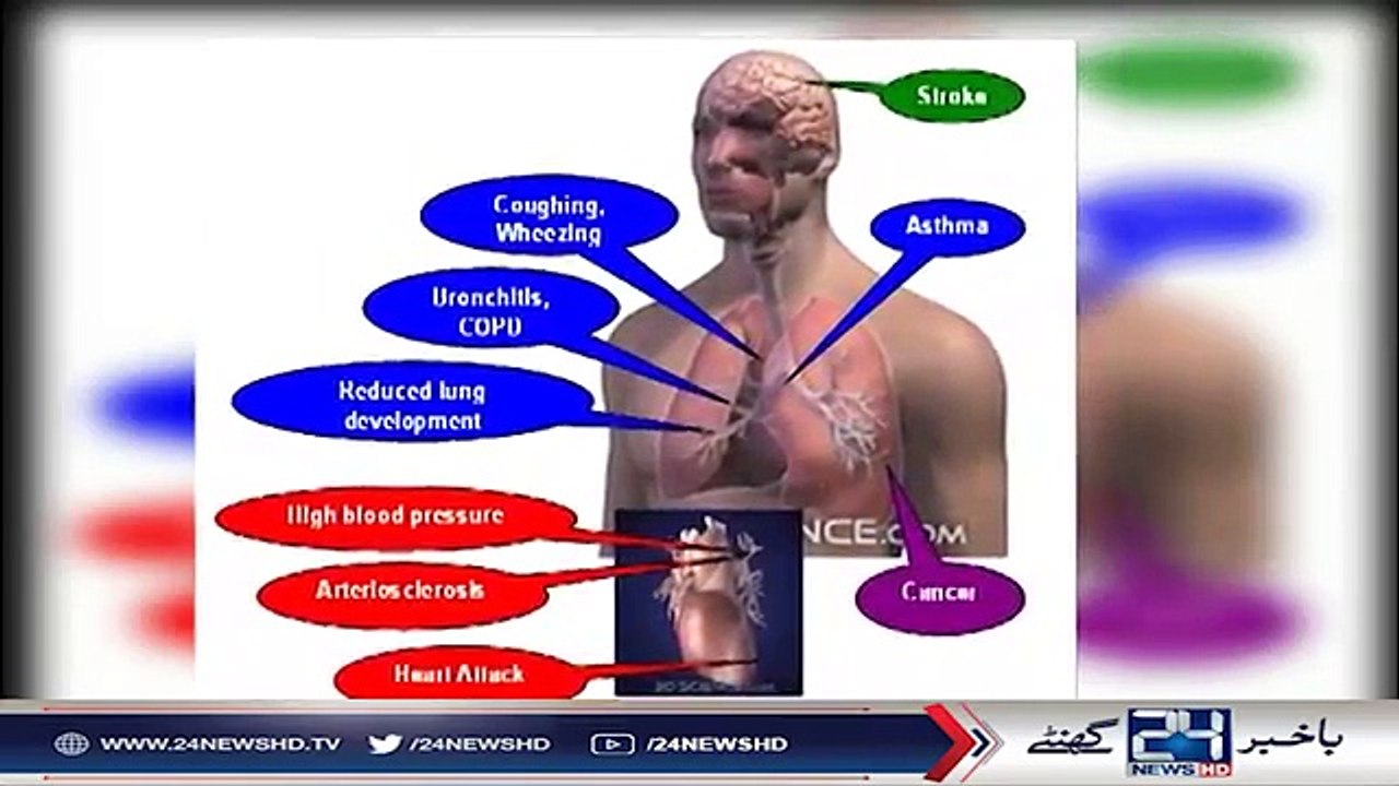Causes, Effects and Solutions to Smog