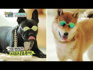 [개밥주는남자 예고]  이태곤 X 스윙스 개밥주는남자 시즌2 합류!