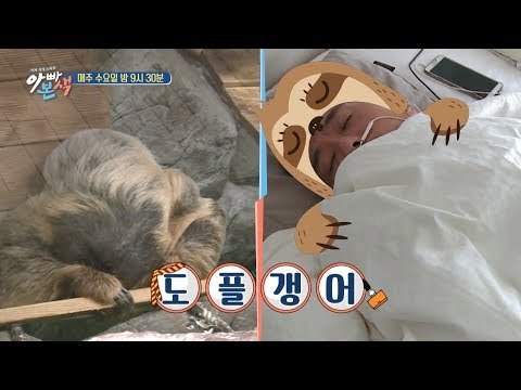 [아빠본색 선공개] 이윤석 나무늘보설..싱크로율 100%