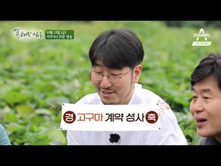 [예고] “믿을 수 있는 고구마를 키워요” 착한 고구마 농부