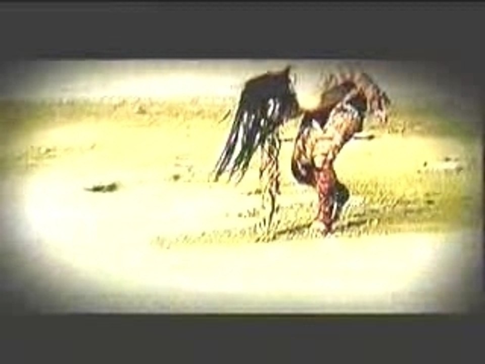 Mortiis Parasite God