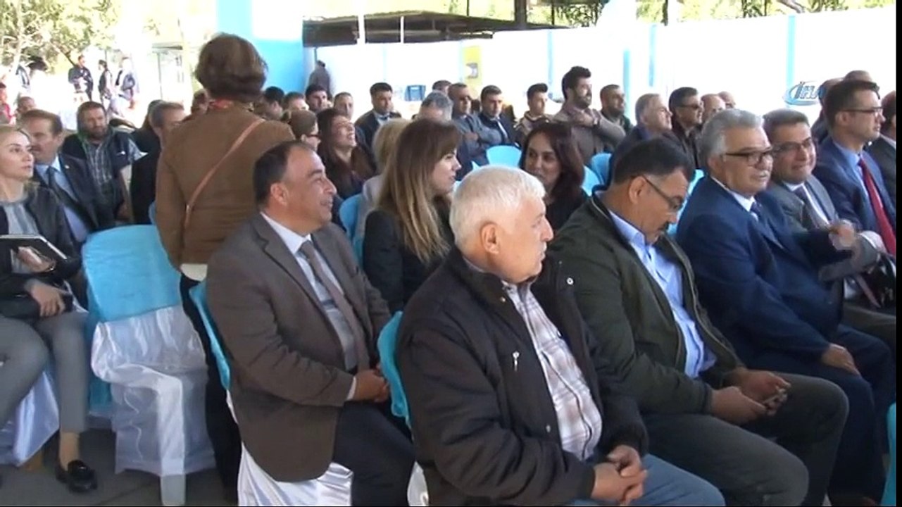 Zeytin ve Zeytinyağı Hasat Sezonu Başladı