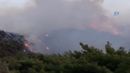 Datça'da 2 Ayrı Noktada Aynı Anda Orman Yangını