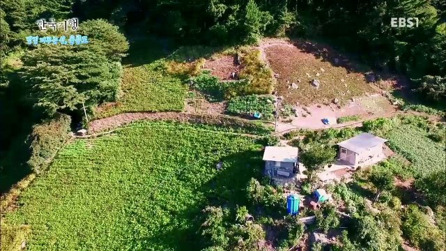 한국기행 - Korea travel_발길 머무는 섬 울릉도 2부 그곳에 당신이 있기에_#002