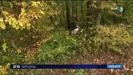 Joggeuse disparue : le corps retrouvé est bien celui d'Alexia Daval
