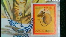 TDM 1984 (02)