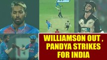 India vs NZ 1st T20I: Kiwi skipper Kane Williamson dismissed , Hardik Pandya strikes | Oneindia News