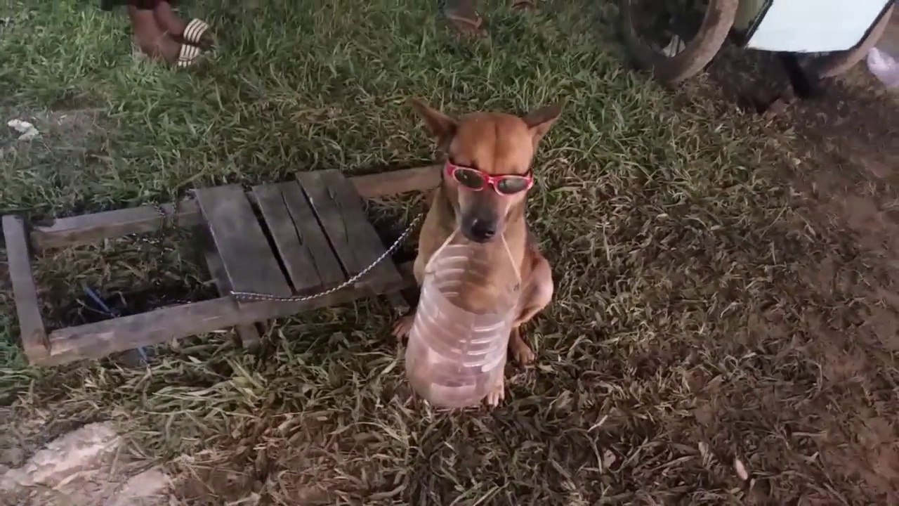 Amazing ! Live streaming Halloween & The Water Festival Ceremony night at Siem Reap town, Cambodia 2017