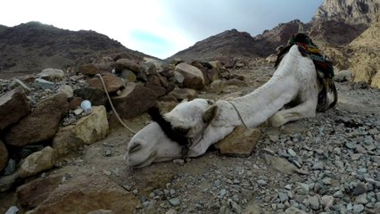 Climb Hiking Mount Sinai - Sharm El Sheikh 2015 - Egypt - Subida Monte Sinai - 1080p 30fps
