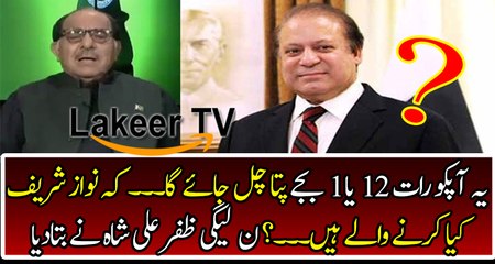 Zafar Ali Shah Reveals The Plan of Nawaz Sharif