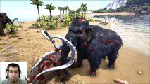 ARK Survival Evolved Mammoth VS Woolly rhino Batallas Dinosaurios arena gameplay español