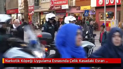 Narkotik Köpeği Uygulama Esnasında Çelik Kasadaki Esrarı Buldu