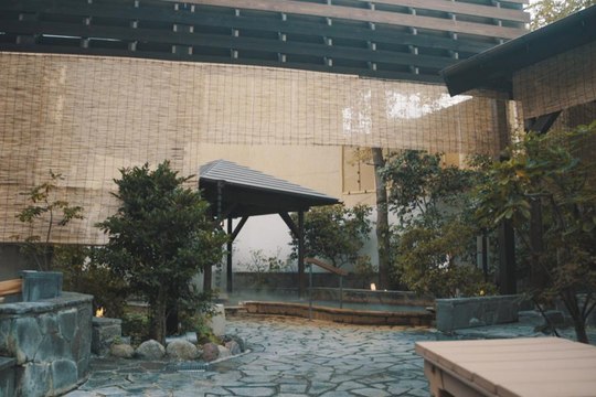 If You Don't Want to Travel Far, This Is The Dopest Onsen Spot In Tokyo