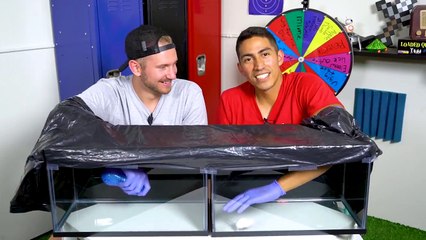 GIANT Whats In The Box Challenge!!