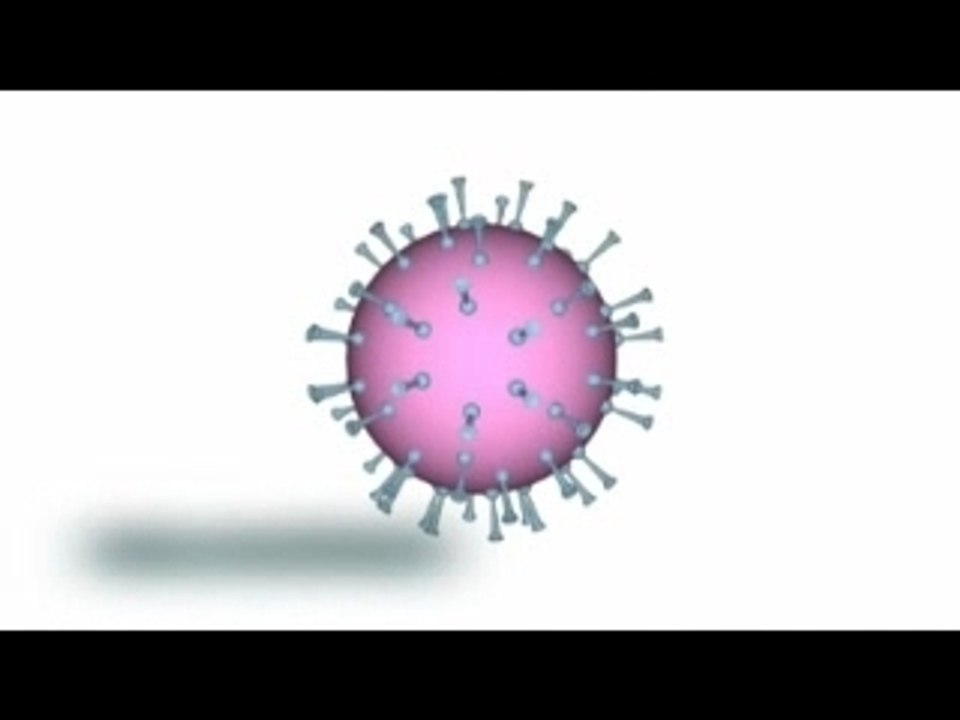 GRIPPE AVIAIRE part 1