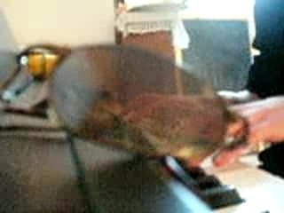 Djeff - Sunrise (By Aleks)