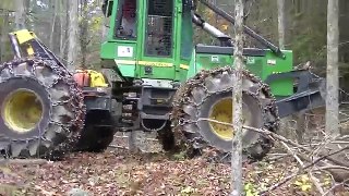Wescott Logging - Cutting Some Pine