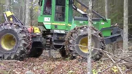 Wescott Logging - Cutting Some Pine