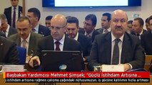 Başbakan Yardımcısı Mehmet Şimşek: 