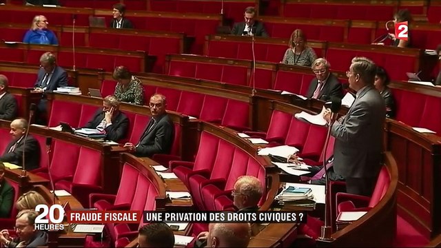 Fraude fiscale : faut-il priver les tricheurs de leurs droits civiques ?