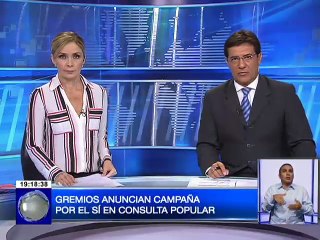 Gremios anuncian campaña por el si en consulta popular