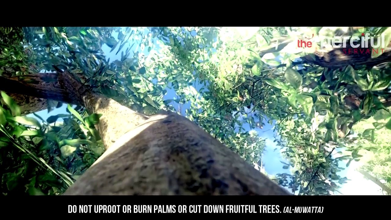 10 Islamic Rules of War