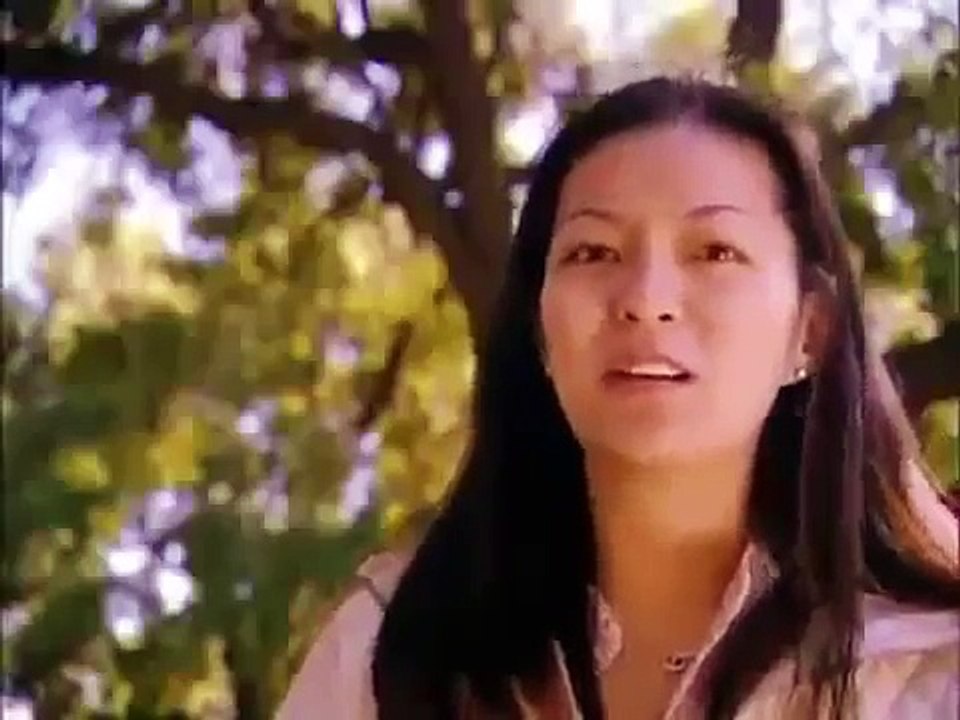 How Clean is Your House Dogs and Chinchillas