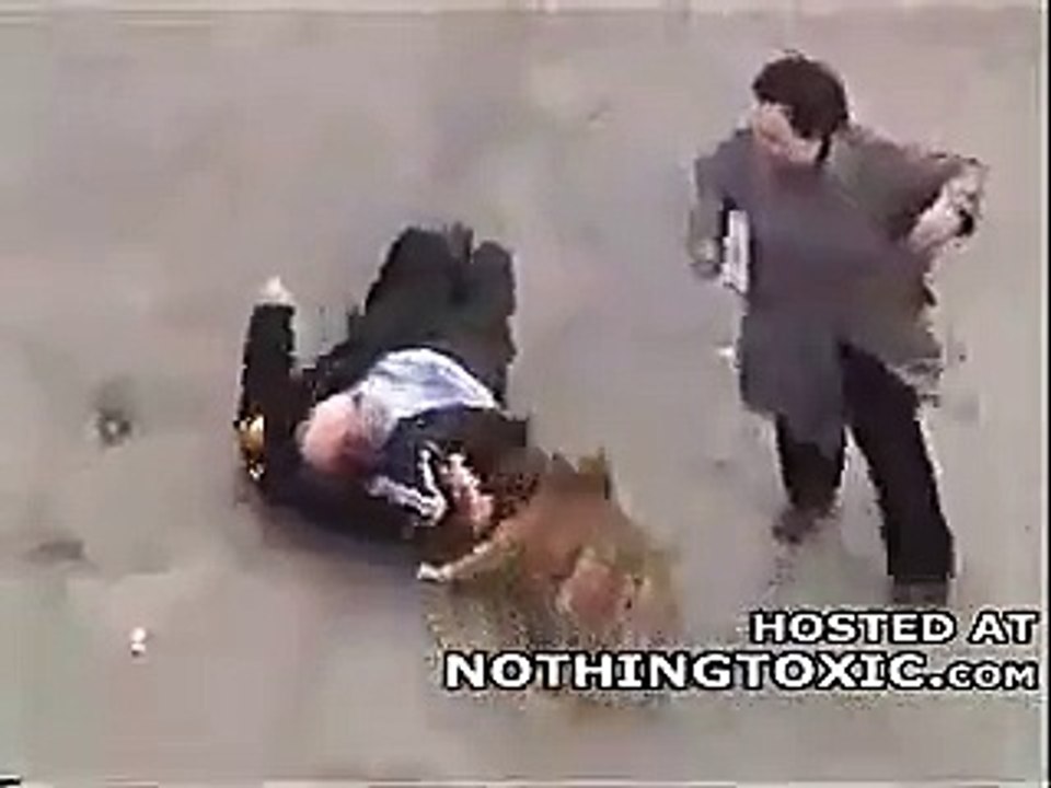 Crazy Pitbull Attack