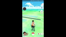 Pokémon GO Gym Battles Dugtrio Golem GEN 2 BABIES Evolving Egg Hatching & more