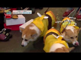 강남은 몰라도 대중소는 안다?! 광장시장에서 인기폭발하는 대중소!