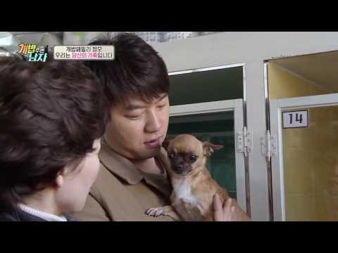 반려견이 가장 예쁠 때는?! 개밥 패밀리의 감동 토크!