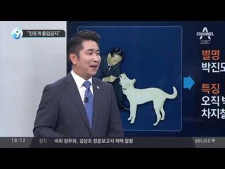 “진돗개 출입금지”_채널A_뉴스TOP10