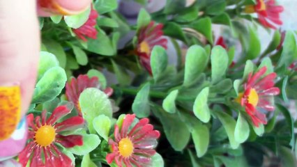 ♥ Littlest Pet Shop: Меч любви (Короткий фильм) ♥