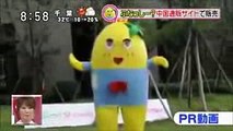 中国のニセふなっしー