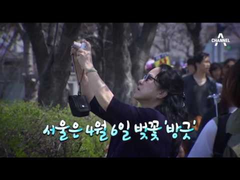 수제 맥주, 이젠 대형마트서_채널A_뉴스TOP10