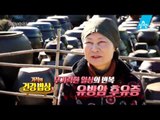 [예고] 연 매출 7억 원! 경남 통영 개체굴을 만나보세요!