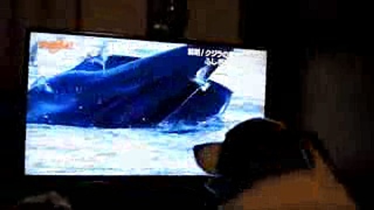 ダーウィンが来た！ クジラ編Part・Ⅱ2016 4 10