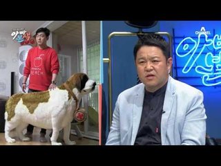 피터팬 이준혁의 인생 위기! 풍수 전문가 曰 “강아지 인형이 문제다!”