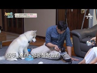 이 구역 천재 훈련사는 나야 나 ~! 현석의 만두 특훈!