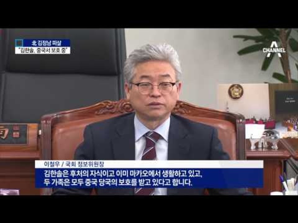 “김한솔, 베이징 이동…중국 보호 중”