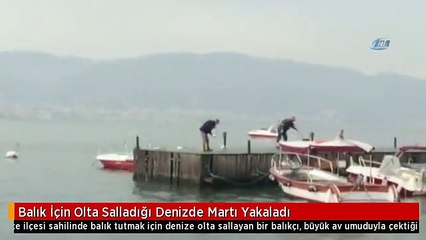 Balık İçin Olta Salladığı Denizde Martı Yakaladı