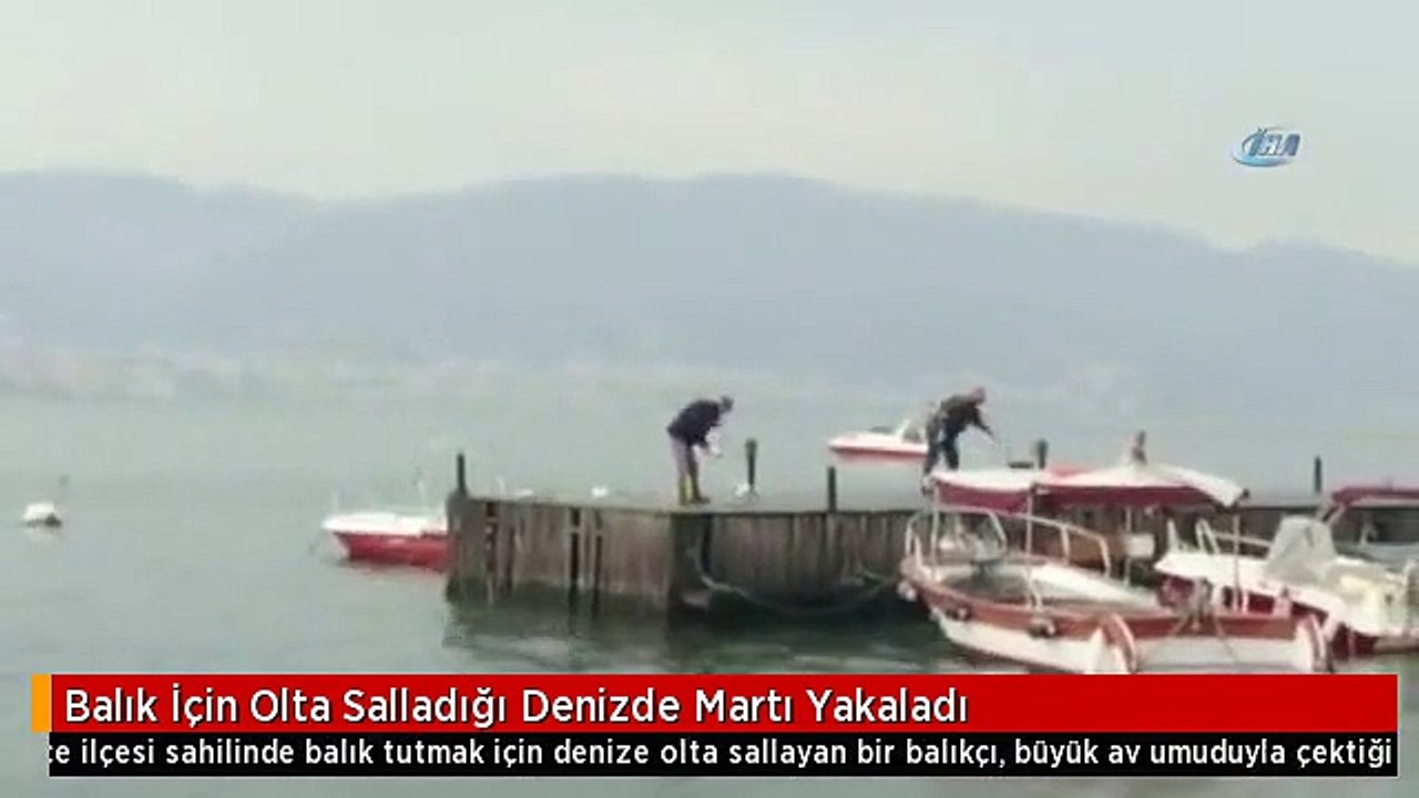 Balık İçin Olta Salladığı Denizde Martı Yakaladı