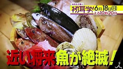仲里依紗が注目!! 〇〇酒場★じゃらん美人編集長の厳選旅!! 618(日)『林先生が驚く初耳学!』【TBS】 HD