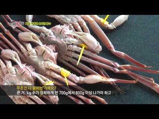 영덕 가면 영덕 대게, 구룡포 가면 구룡포 대게?!