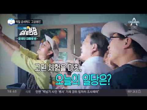 막말 공세에도 ‘고공행진’_채널A_뉴스TOP10