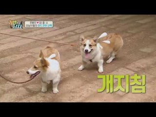 대중소에게 꽉~ 잡혀 사는 주병진, 하드코어 산책 도전기!