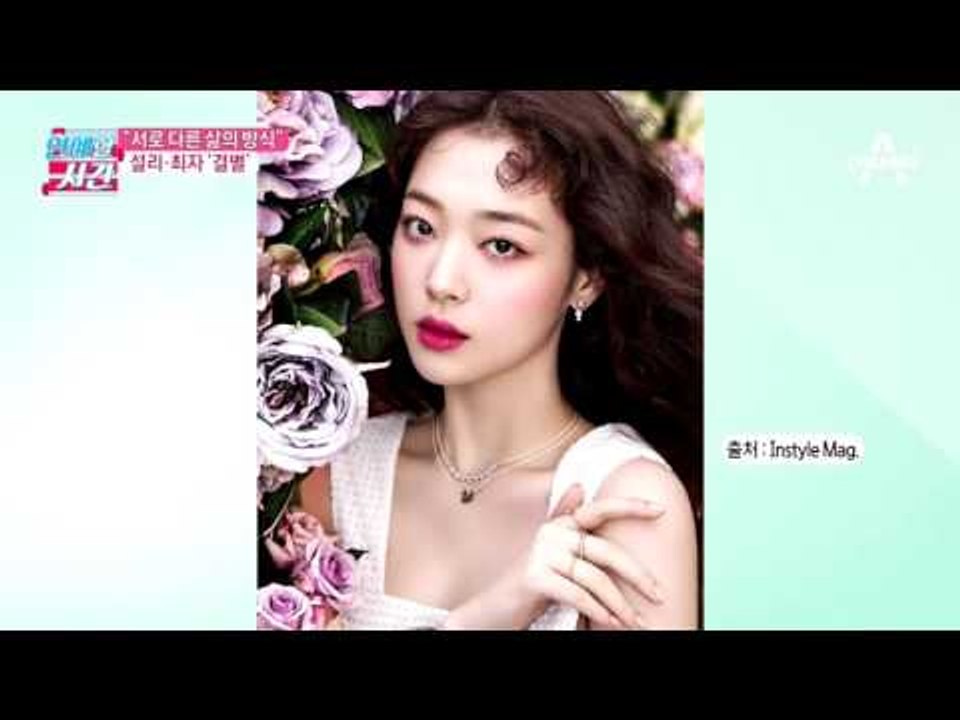 "서로 다른 삶의 방식" 설리·최자 결별